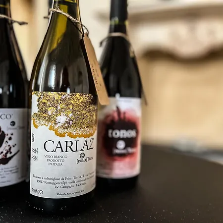 Carmine 18 By Arbaspaa